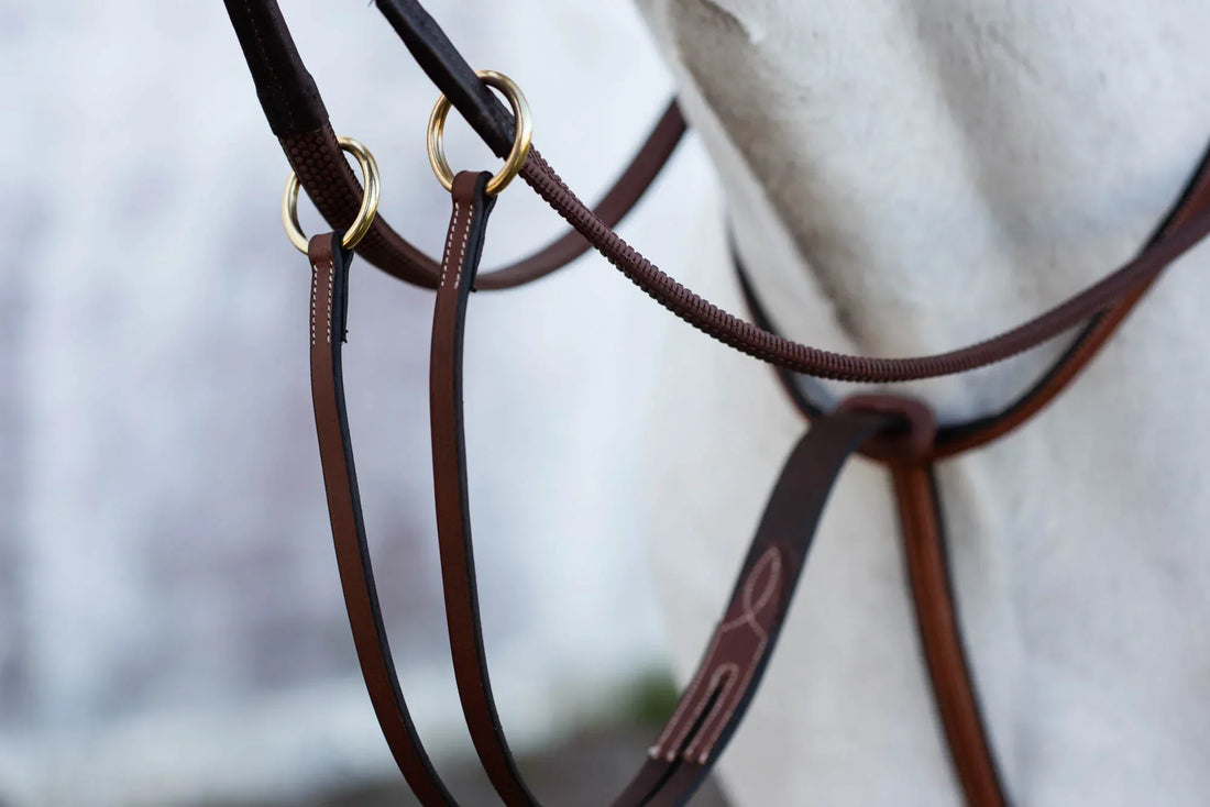 Jacson Cincinatti Martingal Brun