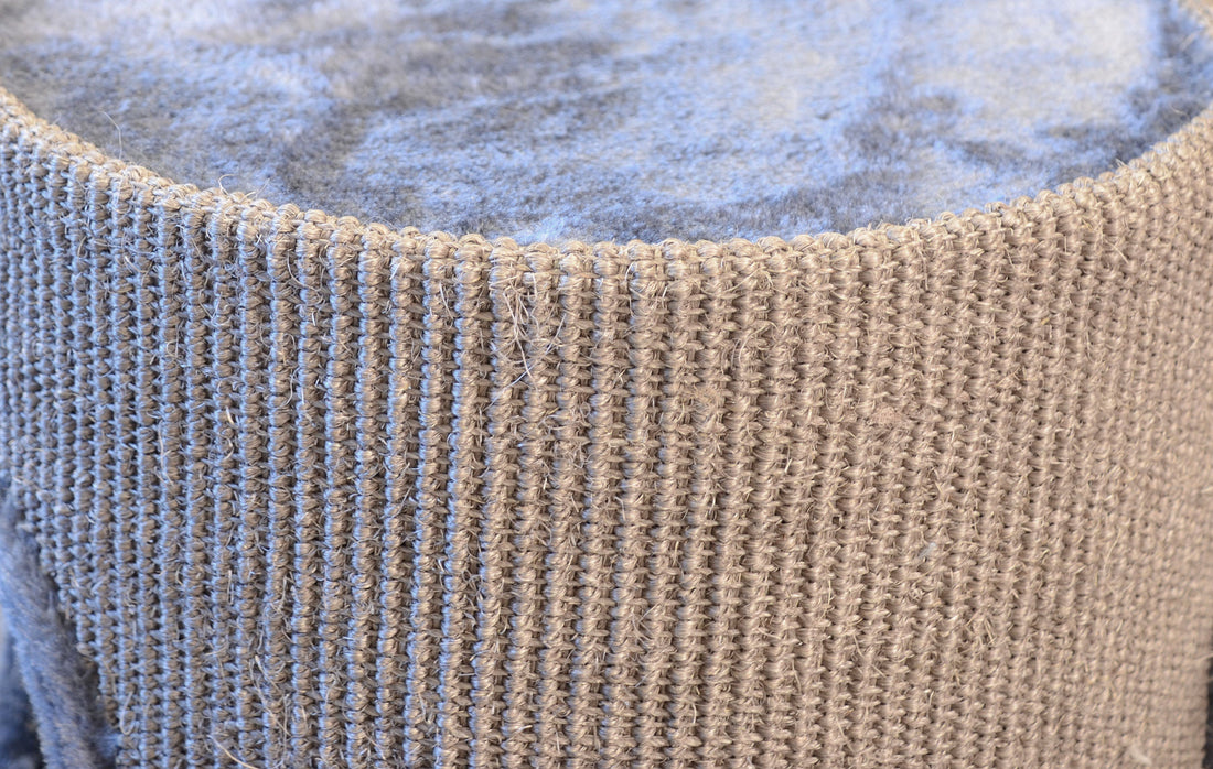 Dogman Klöstunna Mimmi