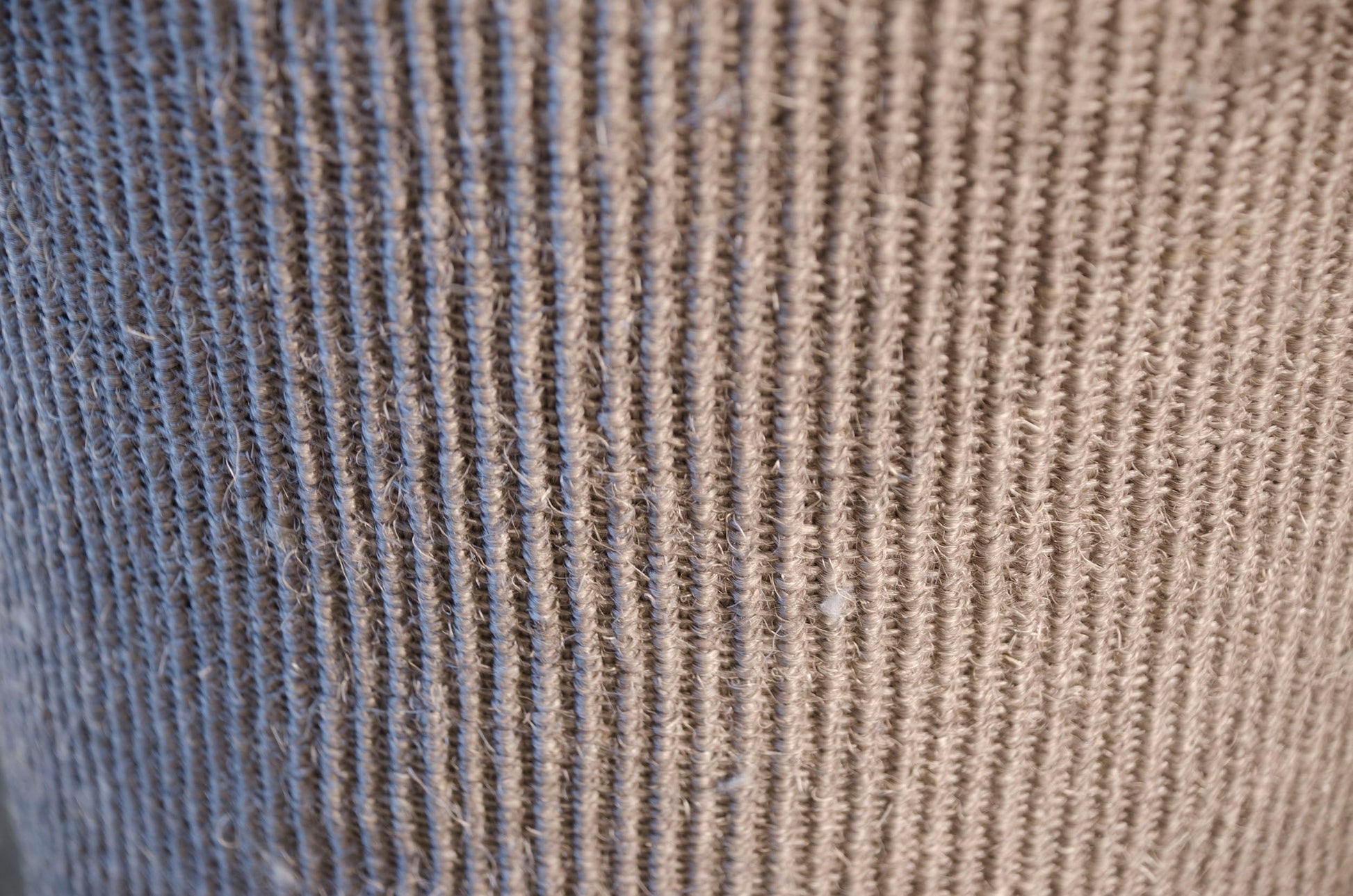 Dogman Klöstunna Mimmi