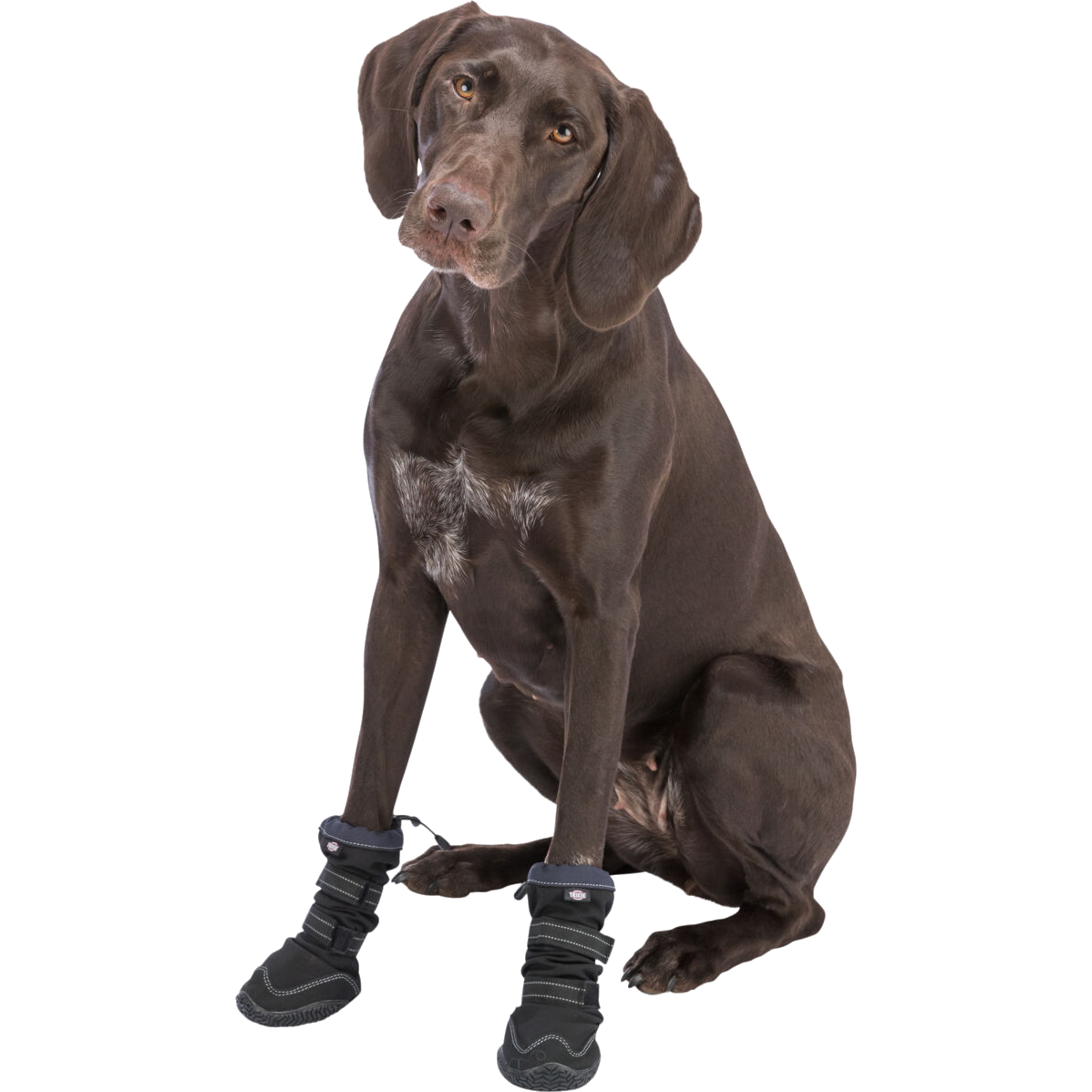 Trixie Paw Protection Walker Active Long