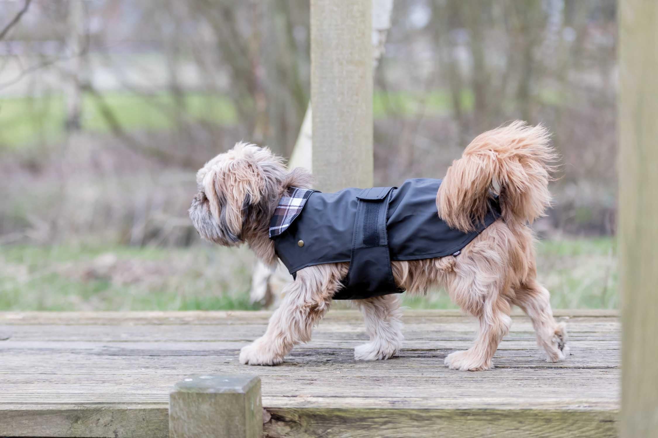 Paris hundtäcke S: 33 cm, 26-38, svart