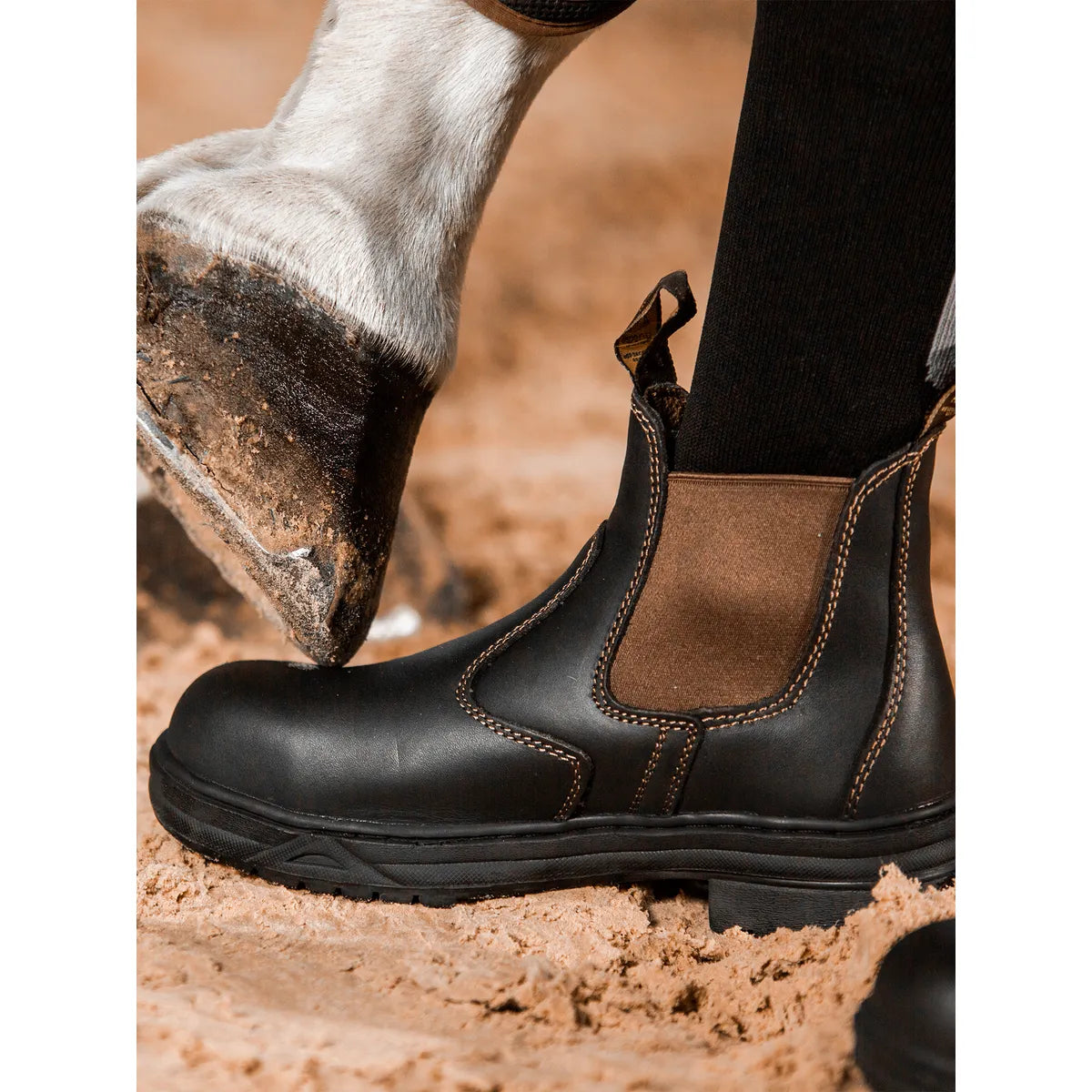 Mountain Horse Protective Jodhpur JR Brown II