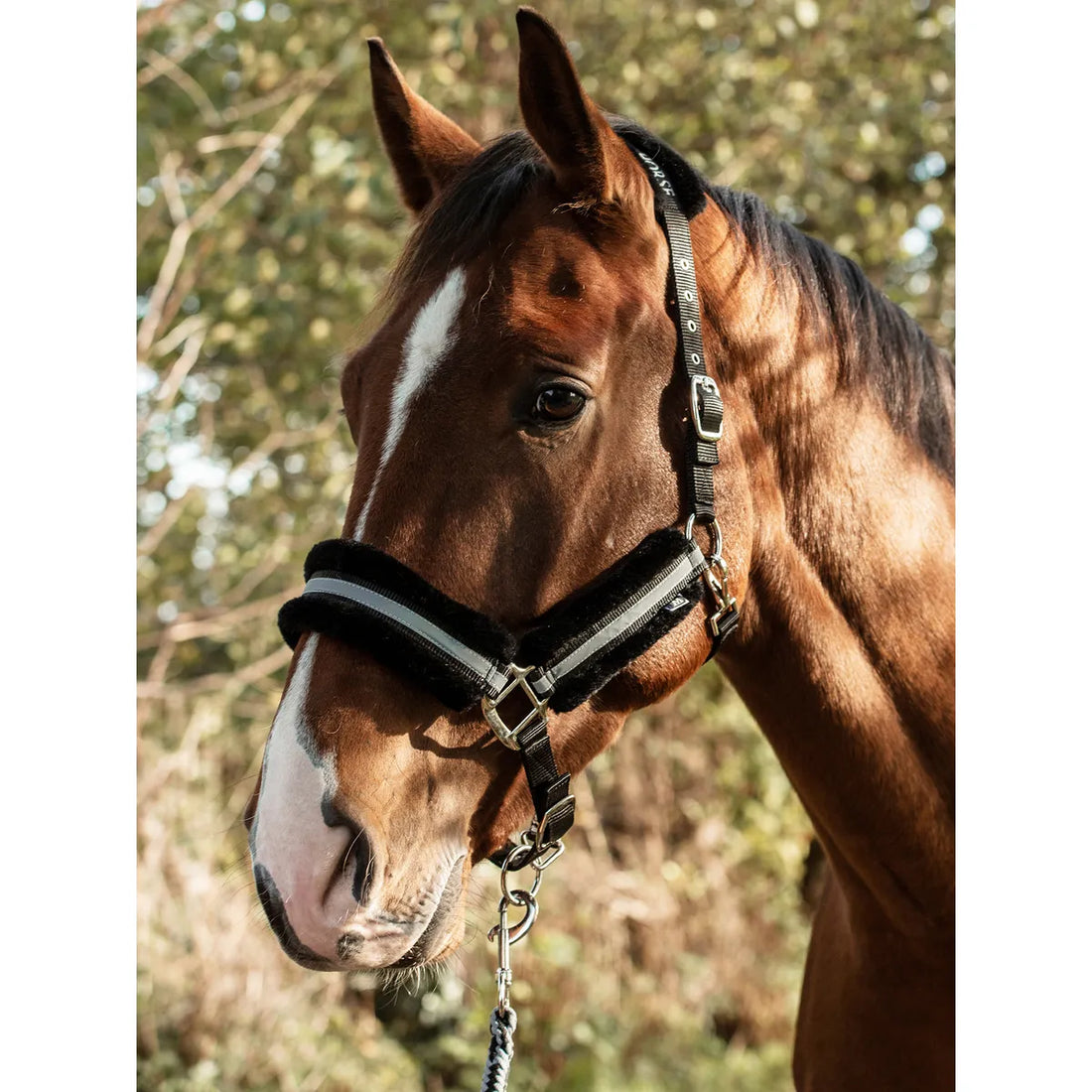 Mountain Horse Mountain Horse Halter Black