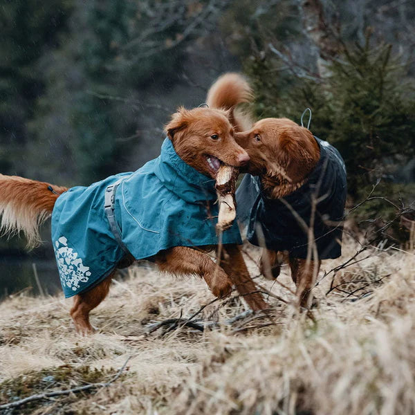 Hurtta Monsoon frakke Bilberry