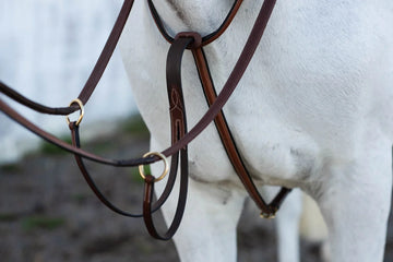 Jacson Cincinatti Martingal Brun