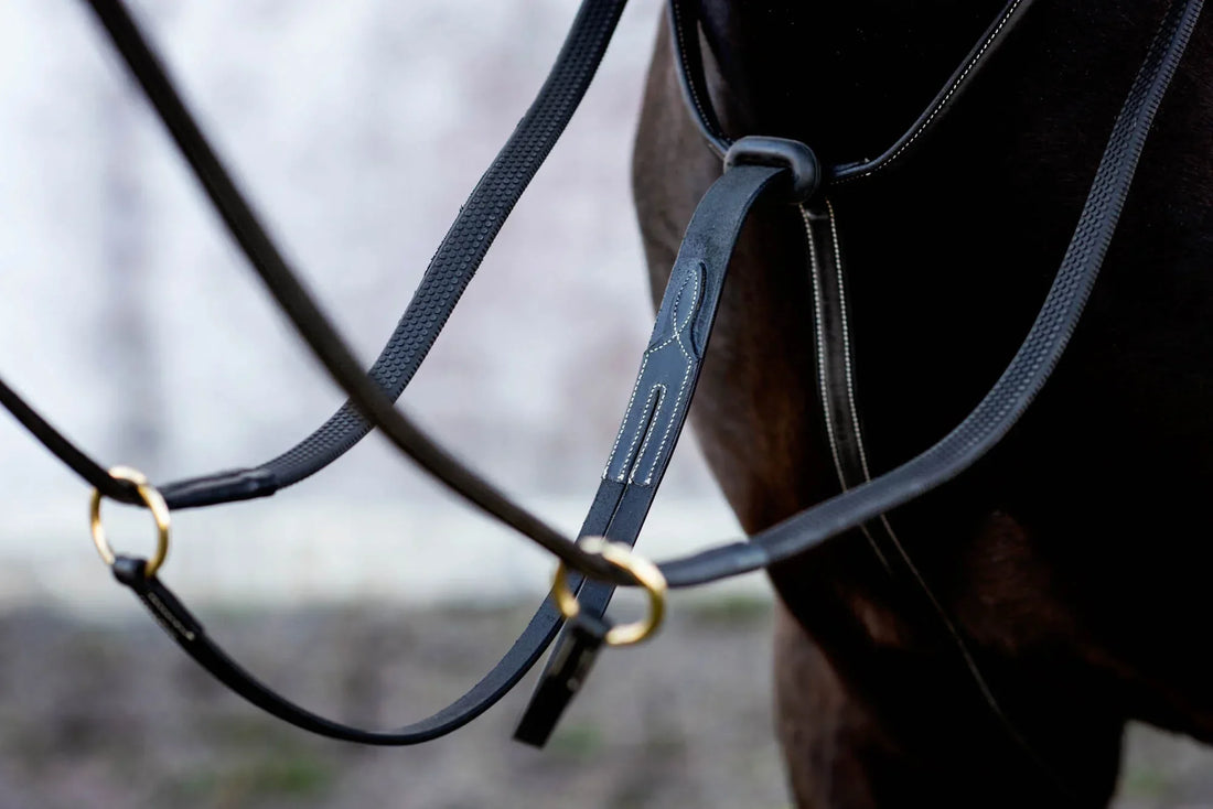 Jacson Cincinatti Martingal Svart