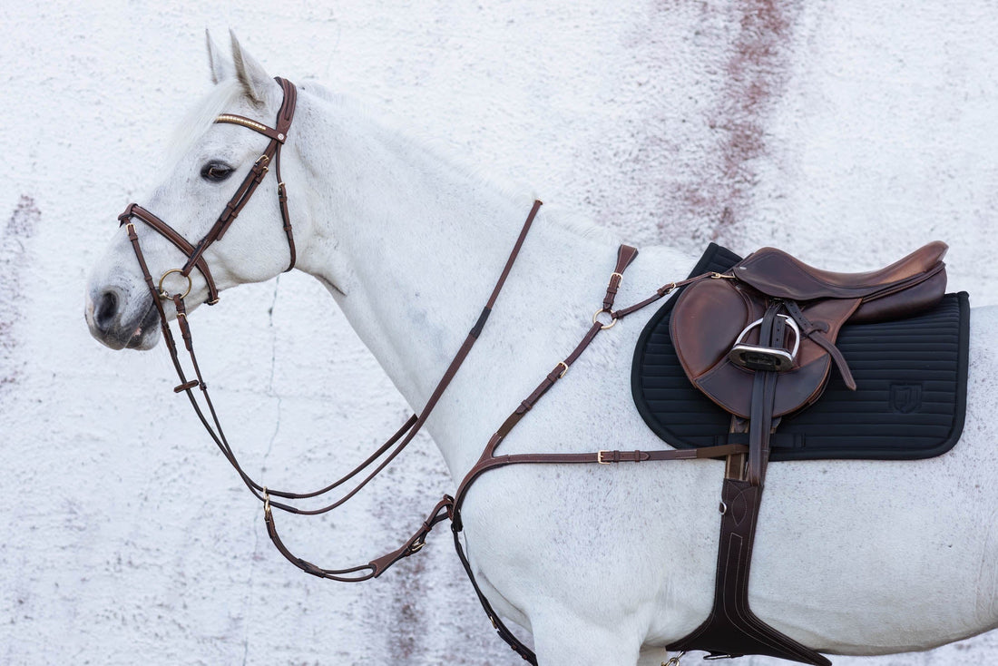 Jacson Karlskrona Schabrak