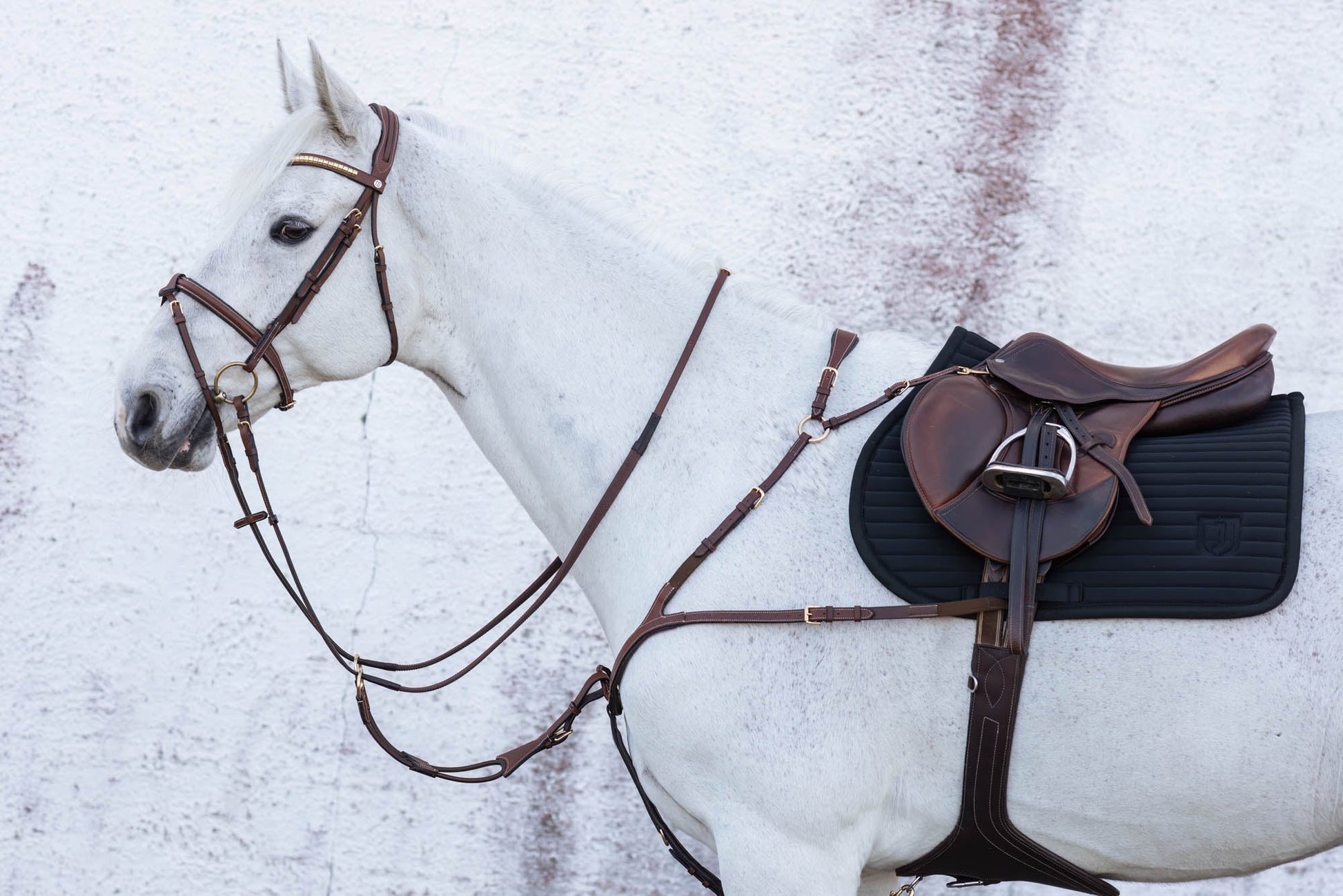 Jacson Karlskrona Schabrak