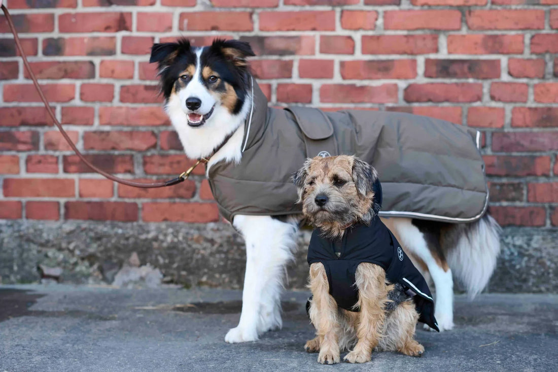 Varmt vinterhundtäcke med dunliknande syntetfyllning, softpile-foder och reflexdetaljer. Vattentätt och andasfunktion för optimal komfort i kalla väder.