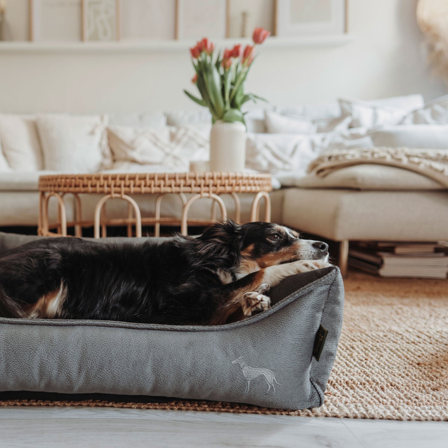 HUNTER Ortopedisk hundbädd Merida Antracit XL