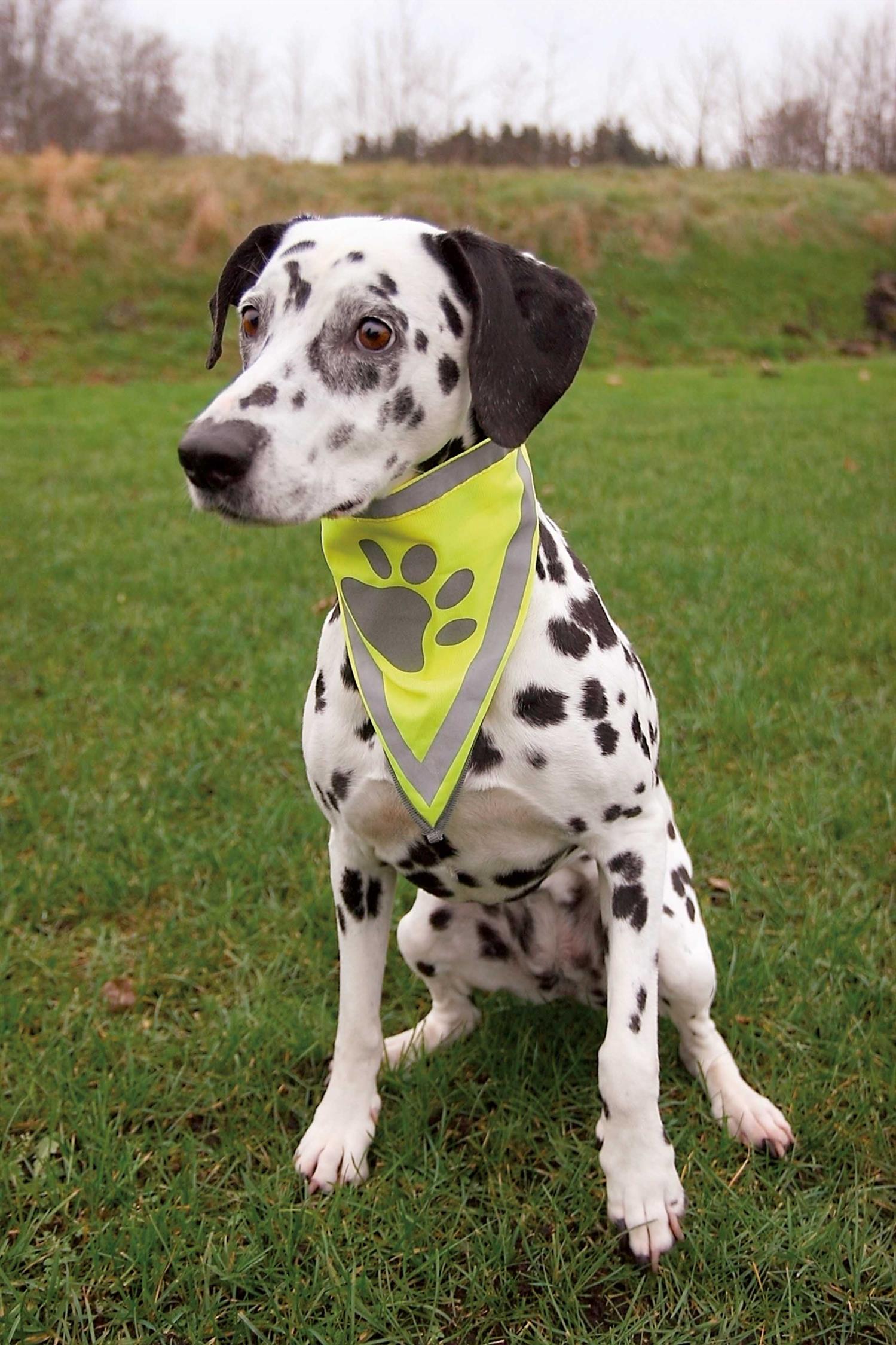 Säkerhetsscarf m reflex S-M: 29-42 cm 20 mm