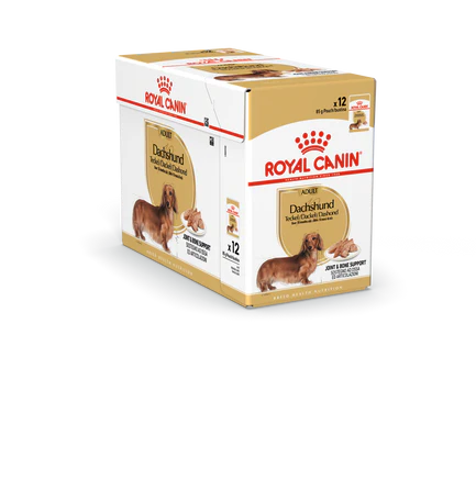 Royal Canin Dachshund Adult Våtfoder för hund 85 g x 12 st