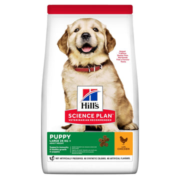 Hills Science Plan Puppy Healthy Development Large Breed Chicken - Dry Dog Food 14,5 kg