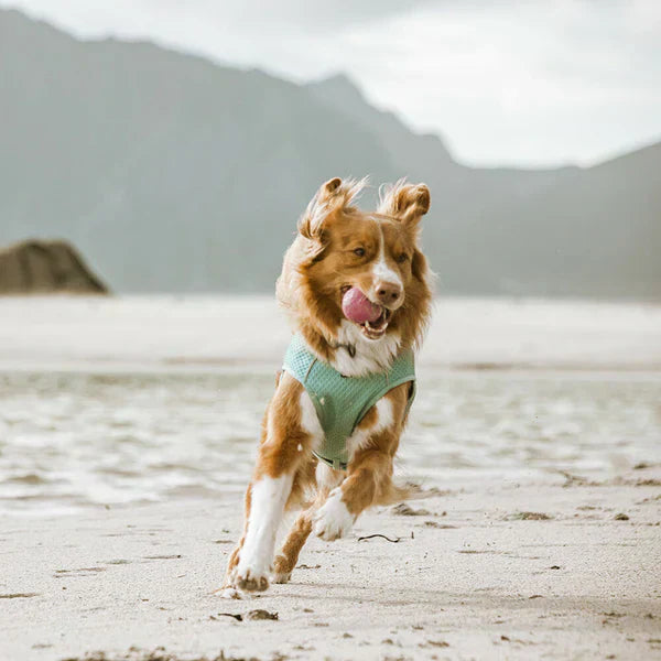 Hurtta Cooling Wrap Carnation pink