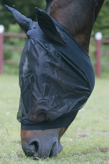 Jacson Flughuva Med Öron Svart