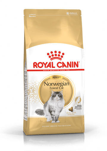 Royal Canin Norwegian Forest Adult Torrfoder för katt