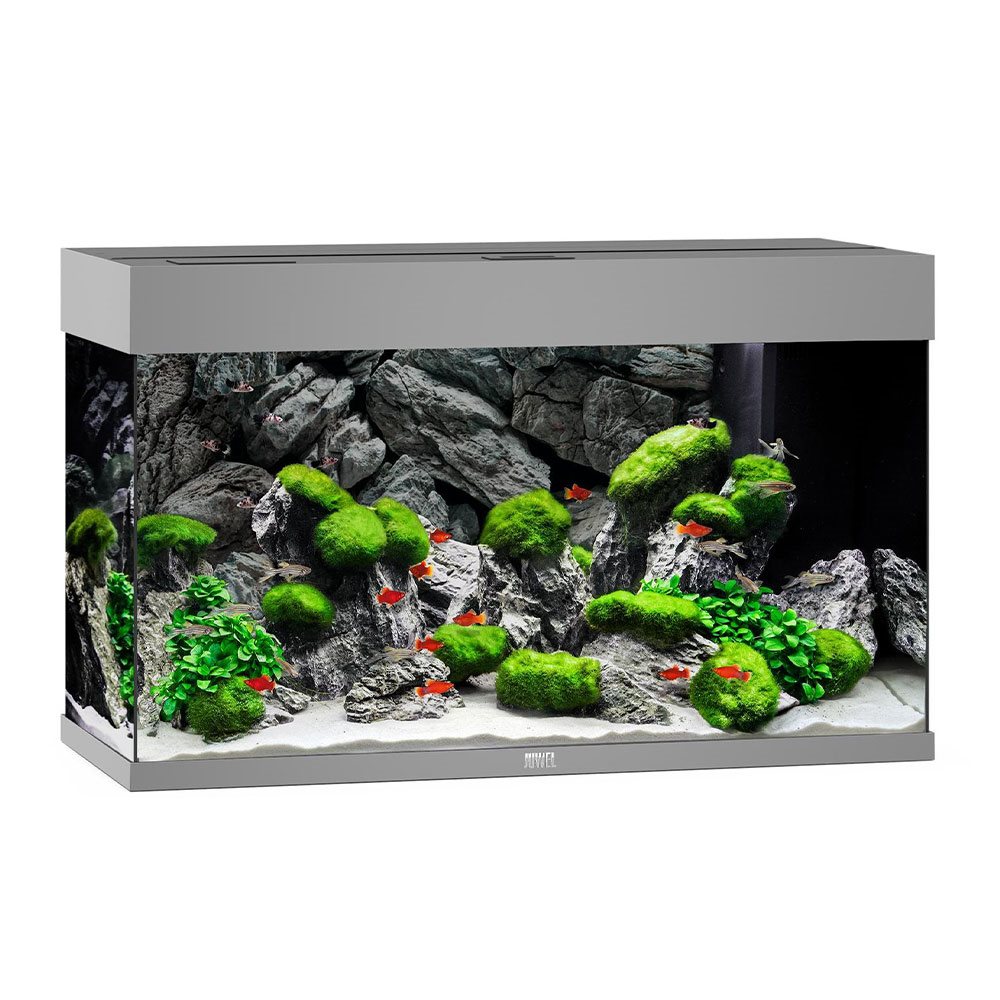 Juwel Rio LED akvarium Grå
