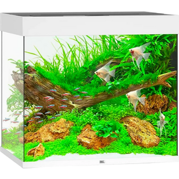 Juwel Lido LED Akvarium Vit