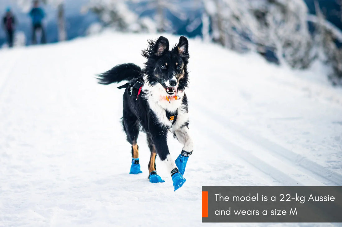 Non-stop Dogwear Long distance bootie 4-pack Blå