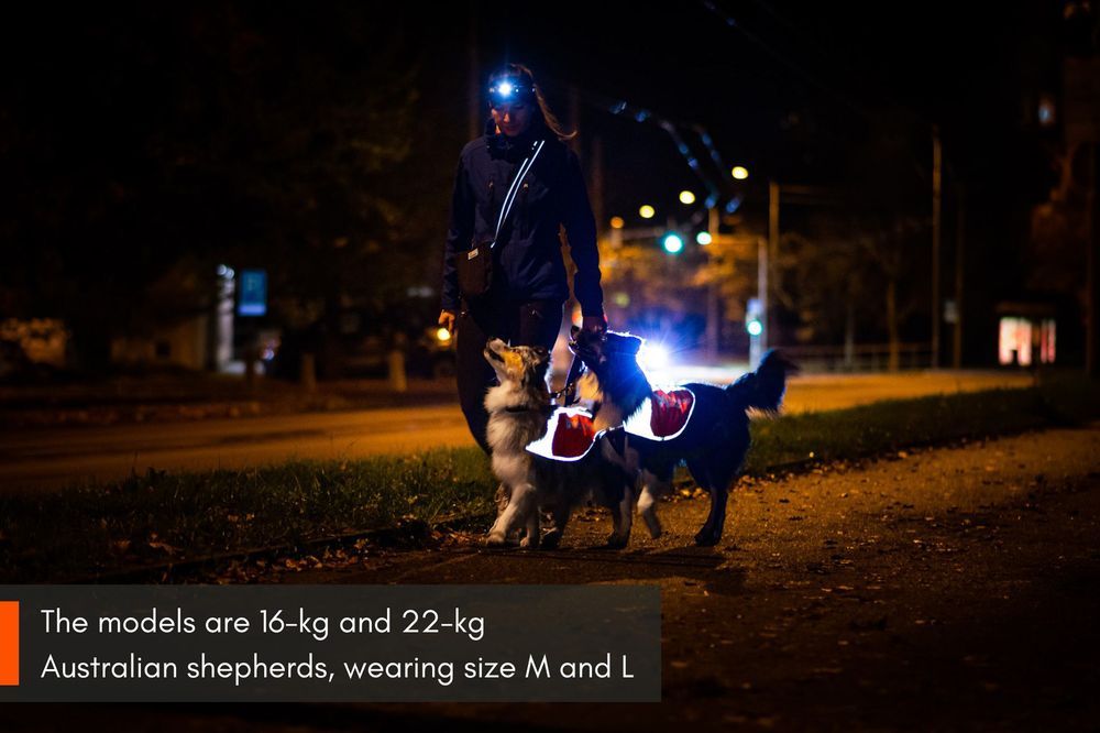 Non-stop dogwear Reflection blanket Orange/Gray