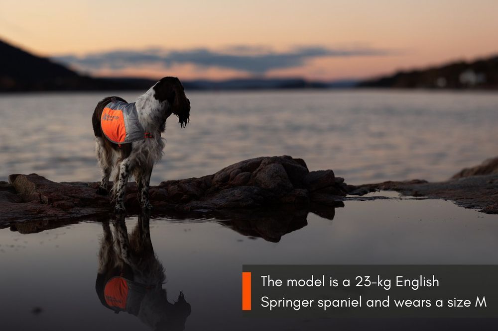 Non-stop dogwear Reflection blanket Orange/Gray