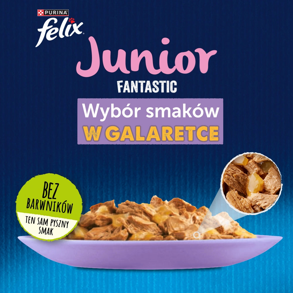 FELIX Fantastic Junior i gelé 12x85g