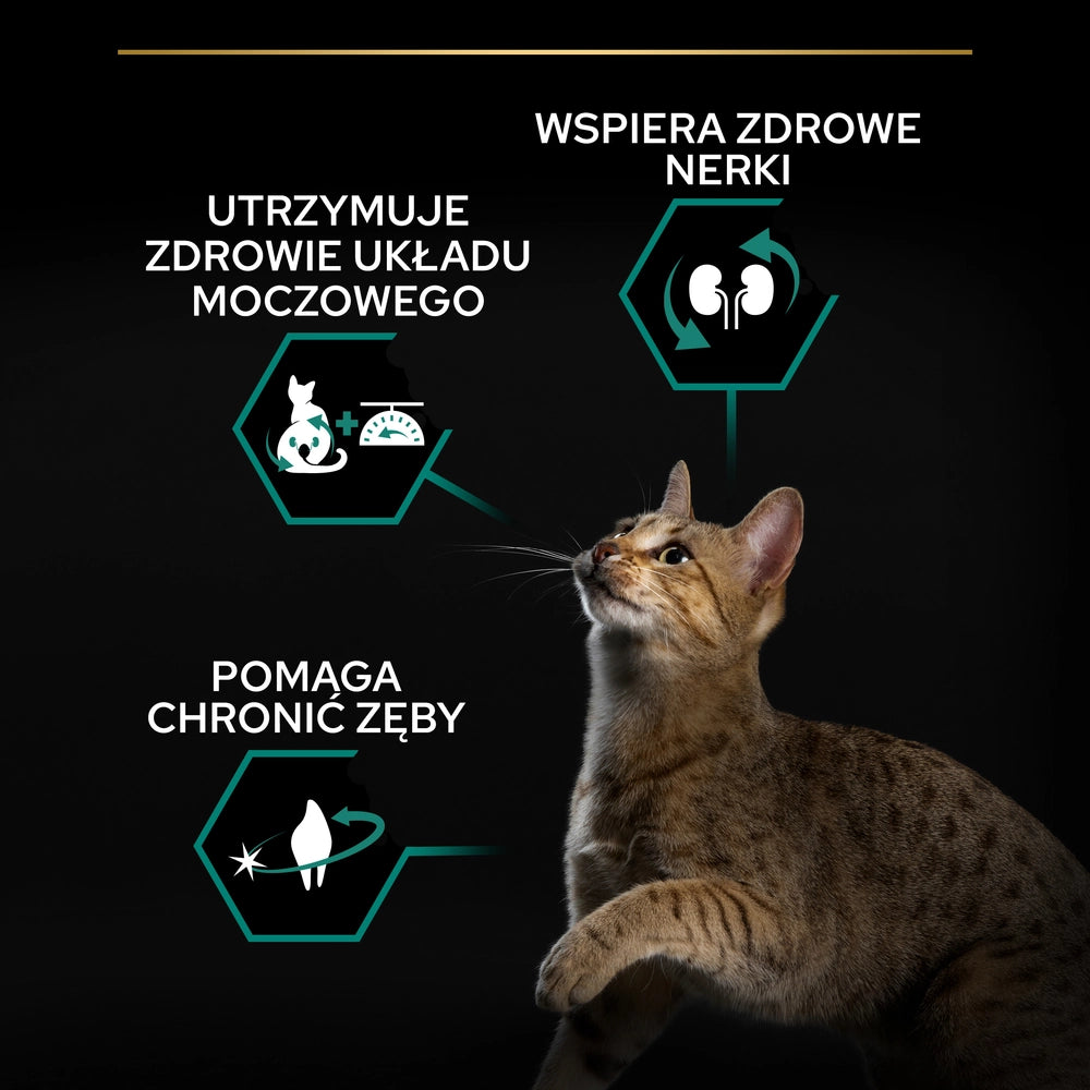 Purina Pro Plan Cat Sterilised Renal Plus med Kalkon 10 kg