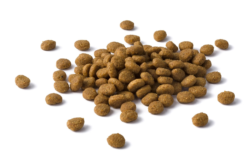 PURINA Cat Chow Adult Torrfoder för katter med lamm och gröna bönor i gelé 85g