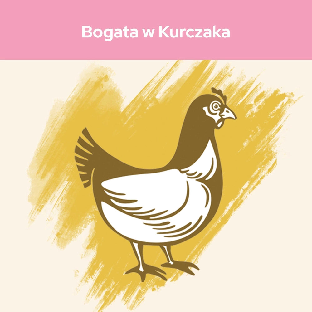 PURINA Cat Chow Adult Torrfoder för katter med lamm och gröna bönor i gelé 85g