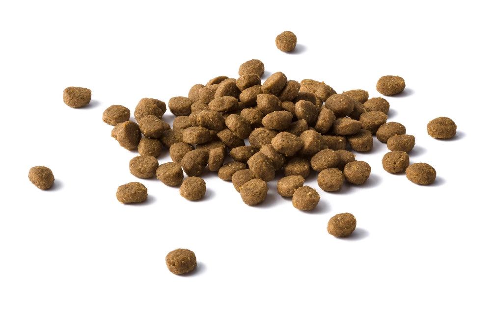 PURINA Cat Chow Adult Torrfoder för katter med lamm och gröna bönor i gelé 85g