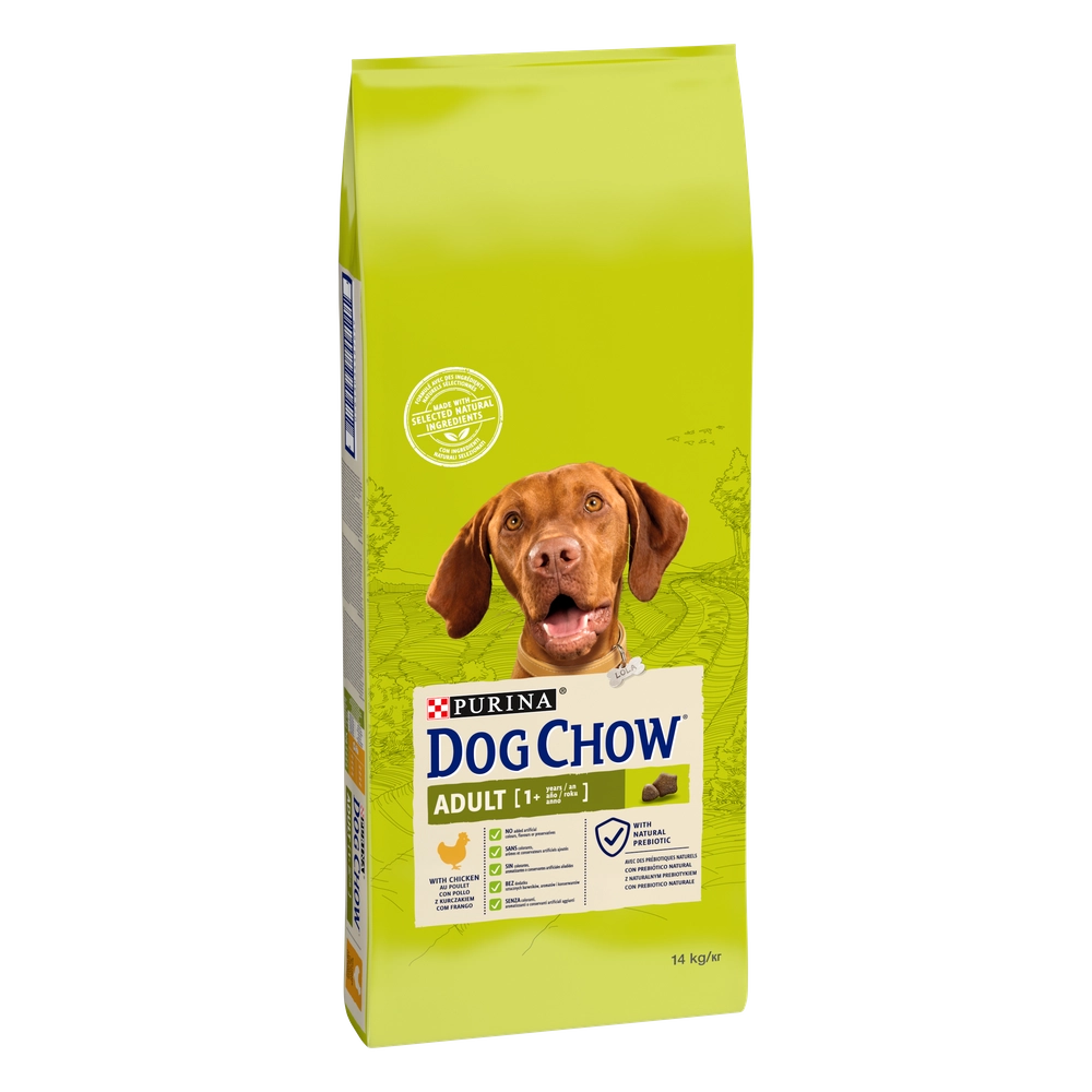 PURINA Cat Chow Adult Torrfoder för katter med lamm och gröna bönor i gelé 85g