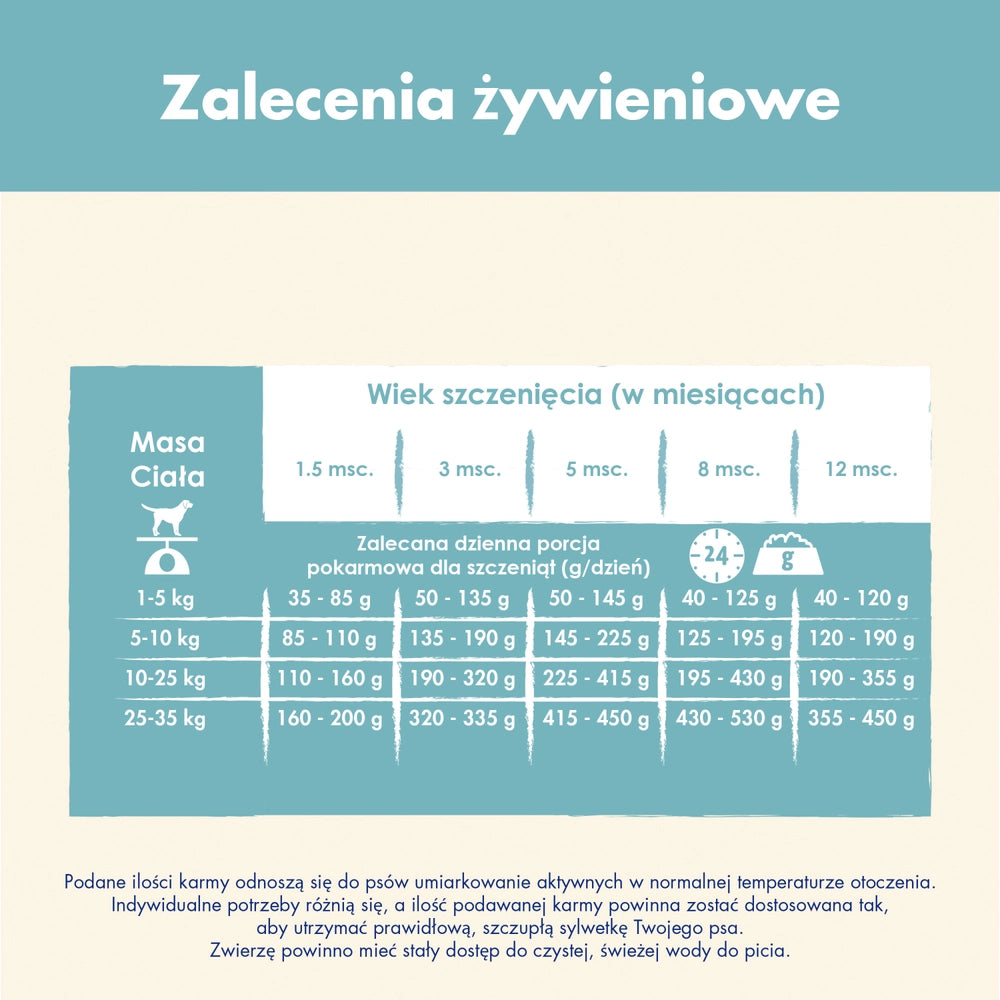 PURINA Cat Chow Adult Torrfoder för katter med lamm och gröna bönor i gelé 85g