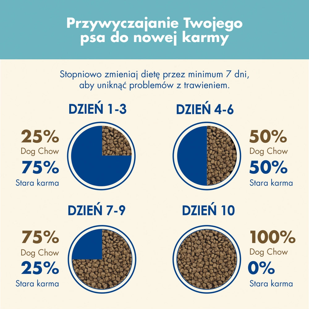 PURINA Cat Chow Adult Torrfoder för katter med lamm och gröna bönor i gelé 85g