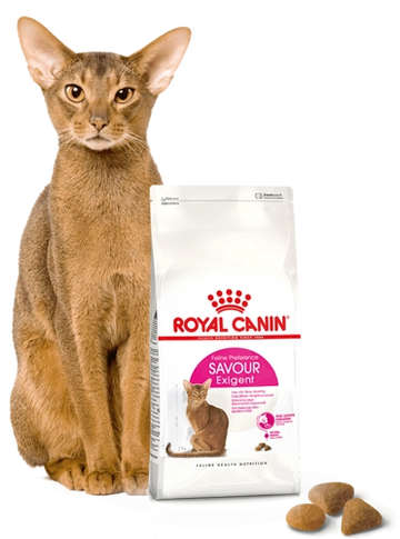 ROYAL CANIN Exigent Savour 35/30 Sensation 400g torrfoder för vuxna, kräsna katter som väljer foder utifrån krokettens struktur