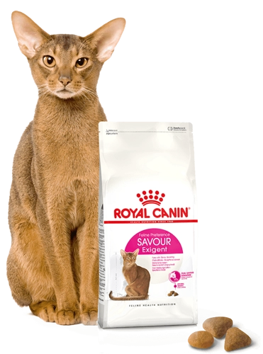 ROYAL CANIN Exigent Savour 35/30 Sensation 400g torrfoder för vuxna, kräsna katter som väljer foder utifrån krokettens struktur