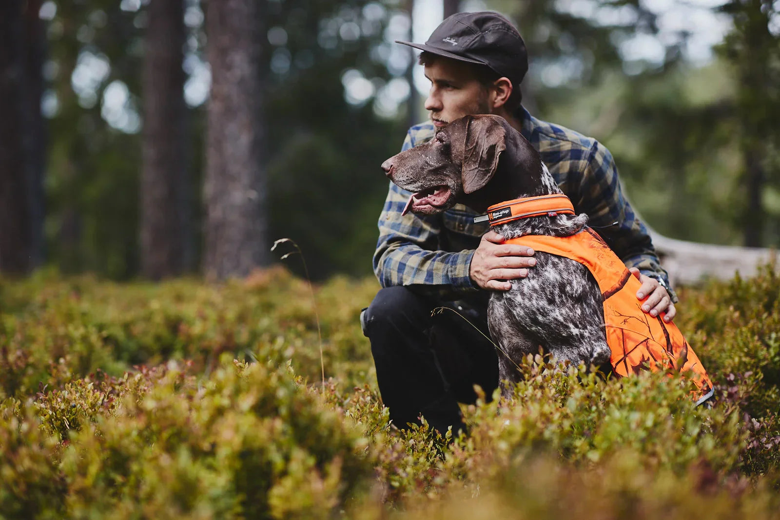 Non-stop Dogwear Safe Collar