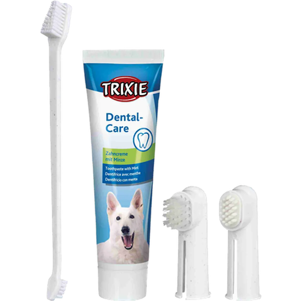 Flexi Dental Hygiene Set for Dogs 100 g